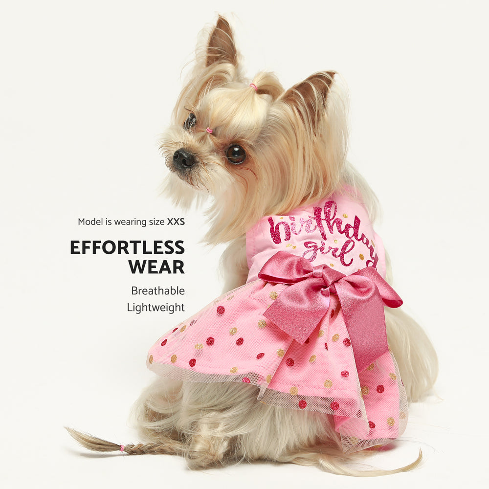 Birthday Girl Tulle Dog Dress