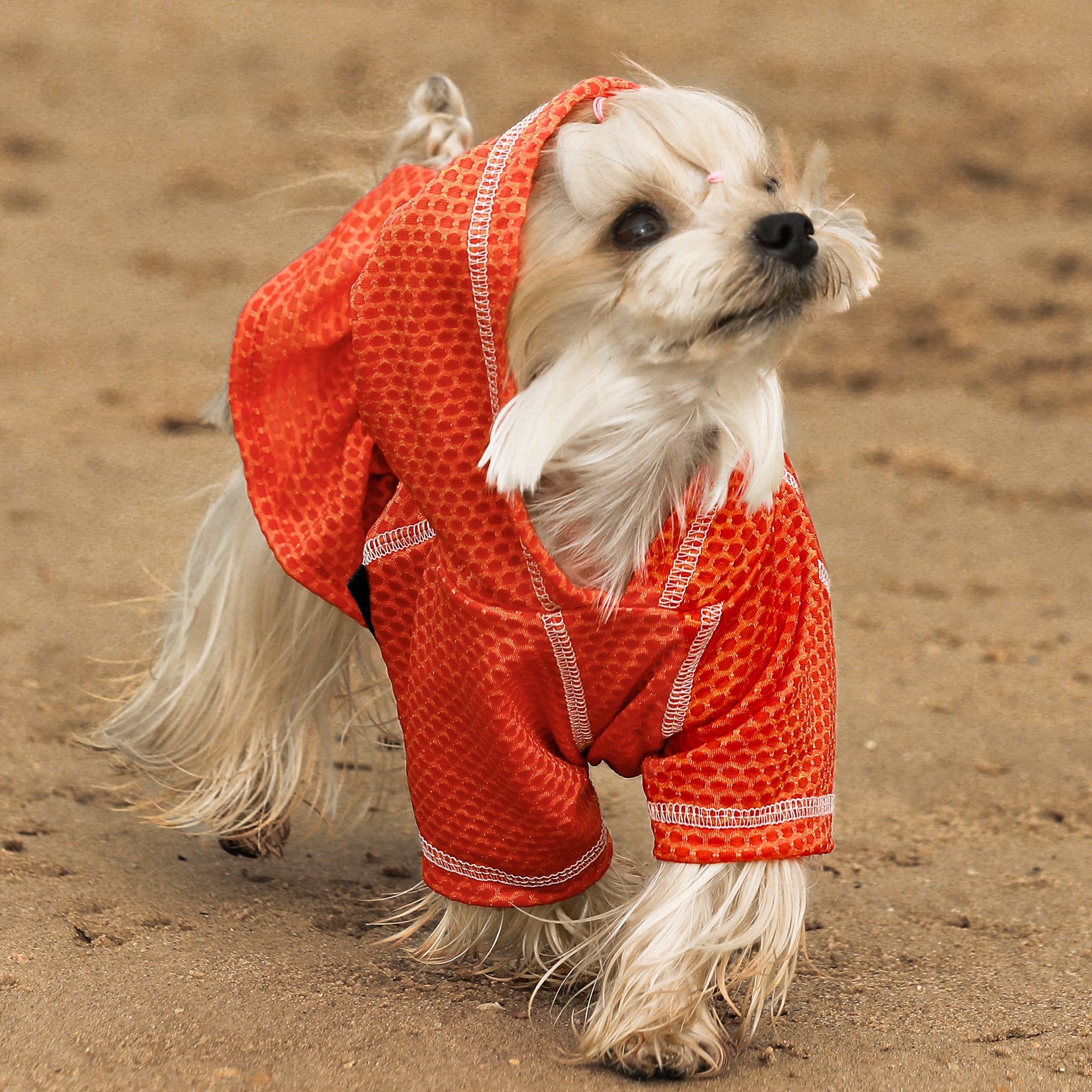 Dog Athleisure Hooded Dress 2 Piece Set Fitwarm